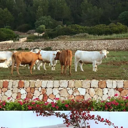 Villa Rusticae Atalis *